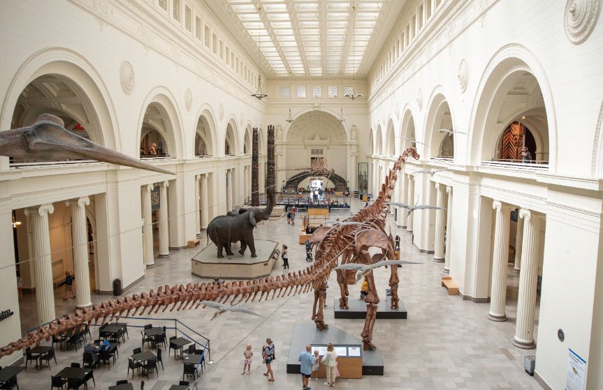 Field Museum, Chicago, Illinois, United States